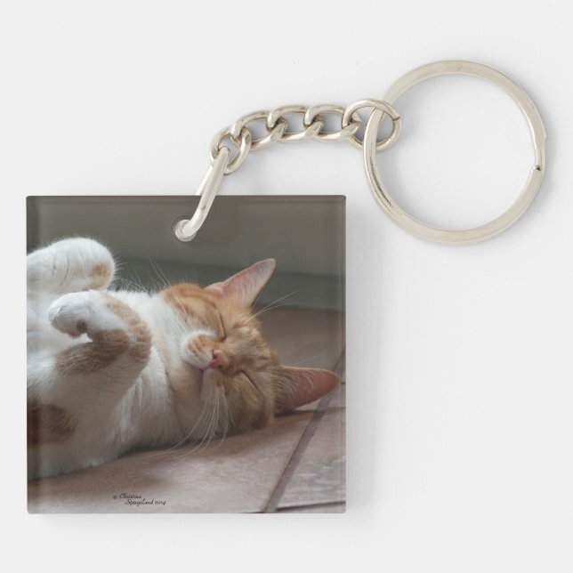 Porte-clés Porte - clé couché de chats cutest (Dos)