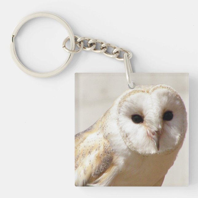 Porte-clés Porte - clé d'acrylique de hibou de grange de (Devant)