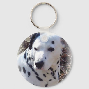 Porte-clés Porte - clé dalmatien de chien du feu