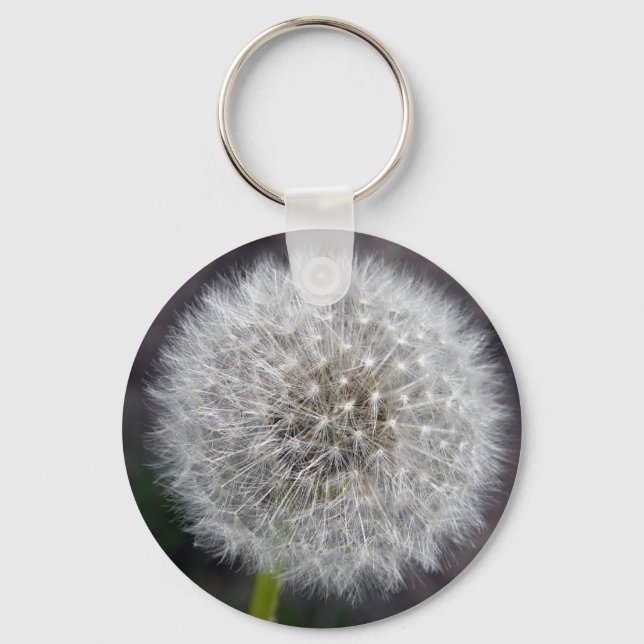 Porte-clés Porte - clé Dandelion Puff (Recto)