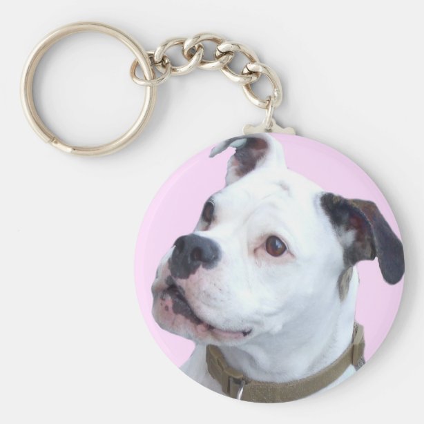 Porte-Clés Bouledogue Français Drôle - Lot De 4 - Résine/Métal - 5x5 Cm - Cadeau Pour Amoureux Des Chiens