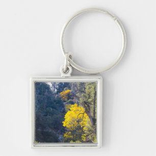 Porte-clés Porte - clé d'automne 6