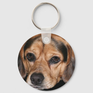 Porte-clés Porte - clé de beagle