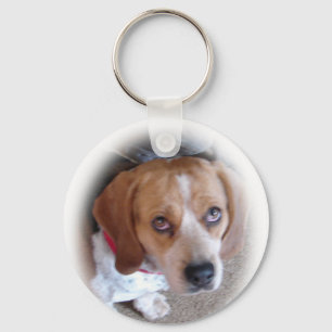 Porte-clés Porte - clé de beagle