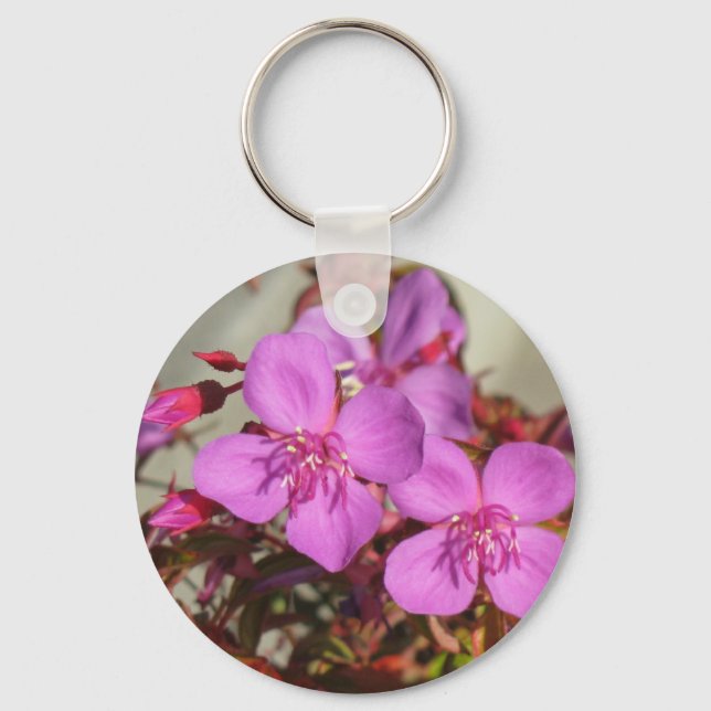 Porte-clés Porte - clé de Begonias (Recto)