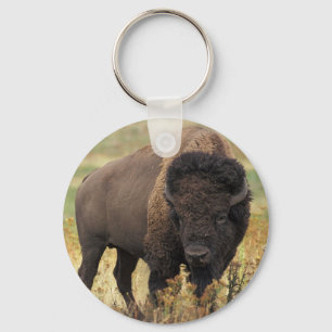Porte-clés Porte - clé de bison américain