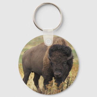Porte-clés Porte - clé de bison américain