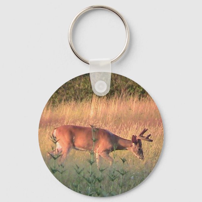 Porte-clés Porte - clé de cerfs blancs (Recto)