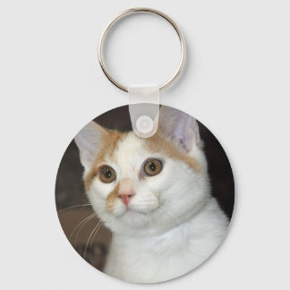 Porte-clés Porte - clé de chat blanc/tan Shorthair