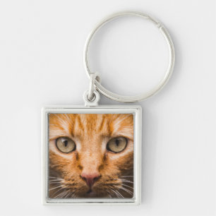 Porte-clés Porte - clé de chat étoilé