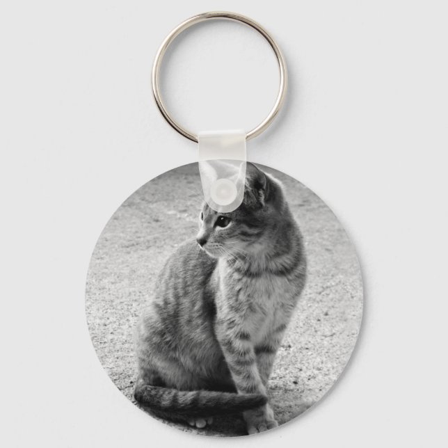 Porte-clés Porte - clé de chat gris (Recto)