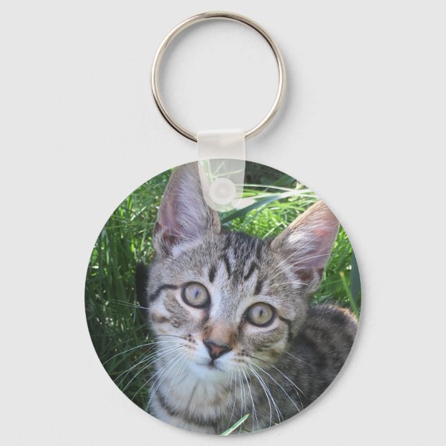 Porte-clés Porte - clé de chat gris Tabby (Recto)