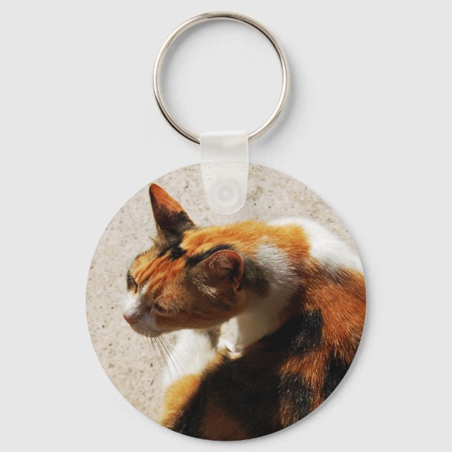 Porte-clés Porte - clé de chat Tricolor (Recto)