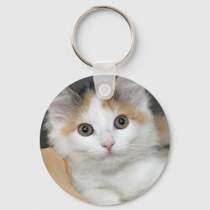 Porte-clés Porte - clé de chaton d'abri de calicot de