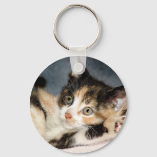 Porte-clés Porte - clé de chaton d'abri de calicot de