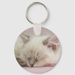 Porte-clés porte - clé de chaton ragdoll