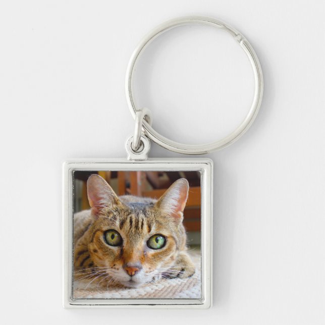 Porte-clés Porte - clé de chats mignons (Devant)