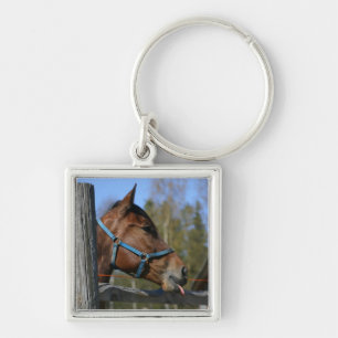 Porte-clés Porte - clé de cheval