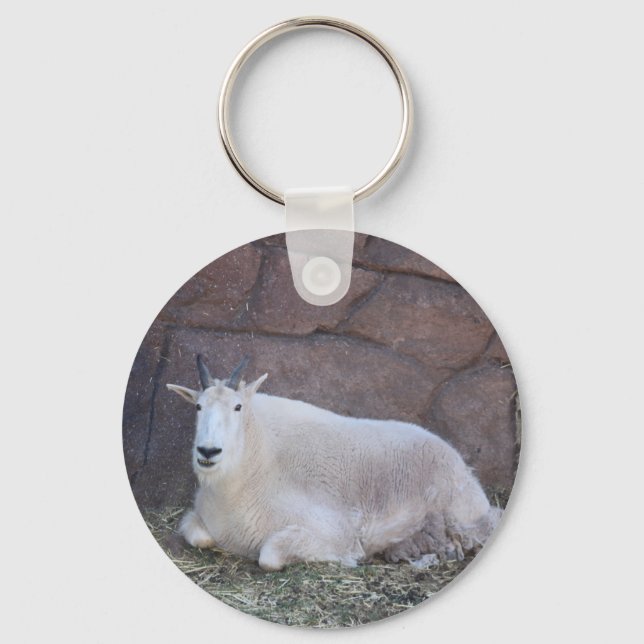 Porte-clés Porte - clé de chèvre (Recto)