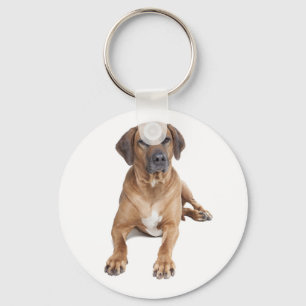 Porte-clés Porte - clé de Chien à chiots de Rhodesian Ridge