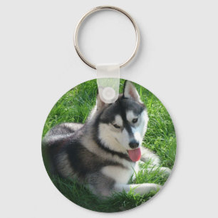 Porte-clés Porte - clé de chien de chien de traîneau sibér