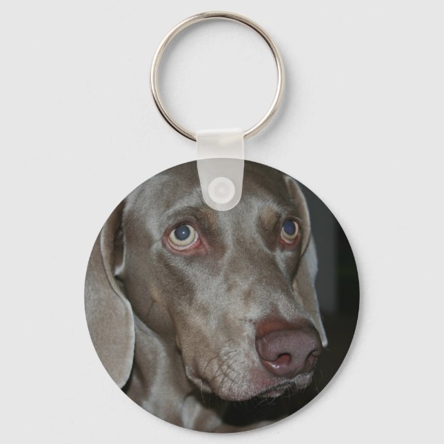 Porte-clés Porte - clé de chien Weimaraner (Recto)