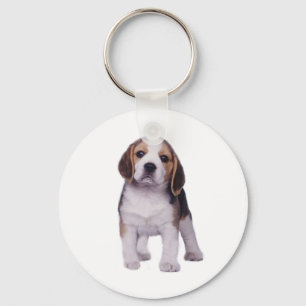 Porte-clés Porte - clé de chiot de beagle