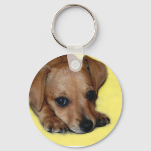 Porte-clés Porte - clé de chiot de Chiweenie
