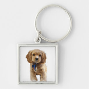 Porte-clés Porte - clé de chiot de Cocker spaniel