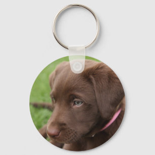 Porte-clés Porte - clé de chiot de laboratoire de chocolat