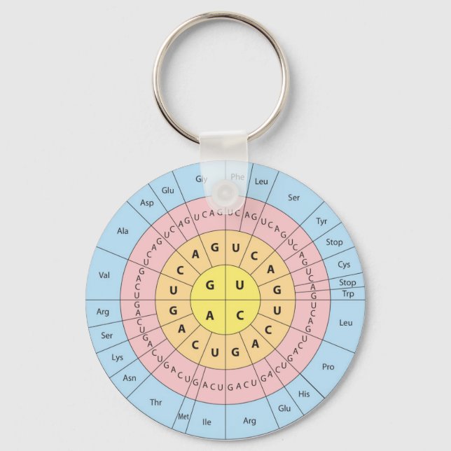 Porte-clés Porte - clé de code génétique (Recto)