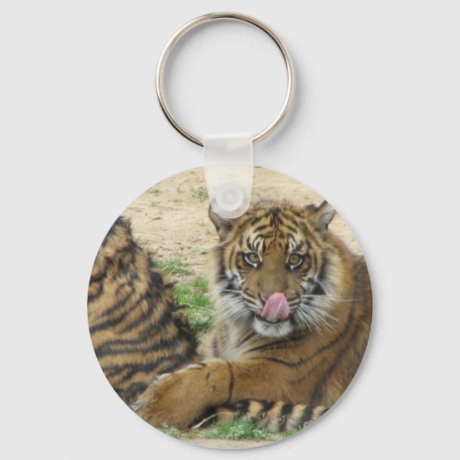 Porte-clés Porte - clé de cubes de tigre (Recto)