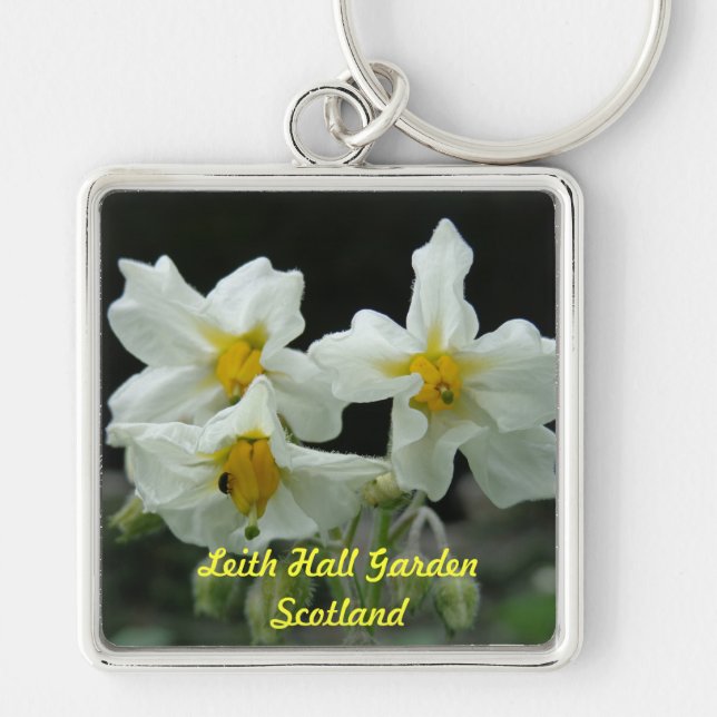 Porte-clés Porte - clé de fleur de jardin de Leith Hall (Devant)