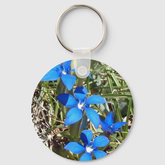 Porte-clés Porte - clé de fleurs de gentiane bleue (Recto)