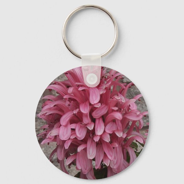 Porte-clés Porte - clé de fleurs de plume brésilien (Recto)