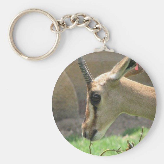 Porte-clés Porte - Clé De Gazelle Porte - clé de gazelle | Zazzle.fr