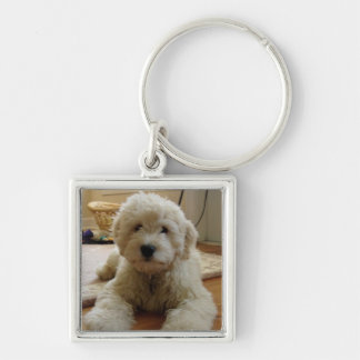 Porte-clés Porte - clé de Goldendoodle