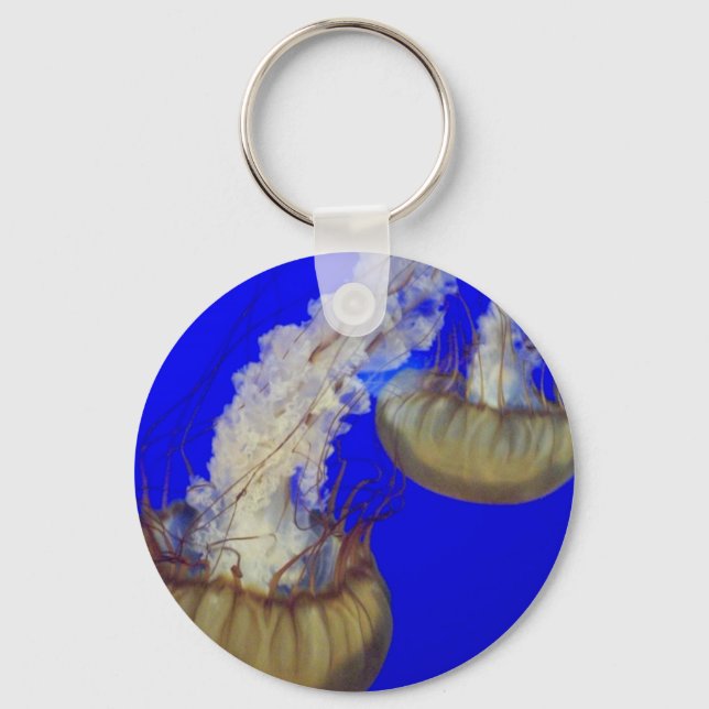 Porte-clés porte - clé de la méduse (Recto)
