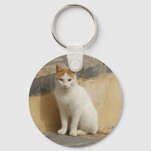 Porte-clés Porte - clé de la photographie de chat (Recto)