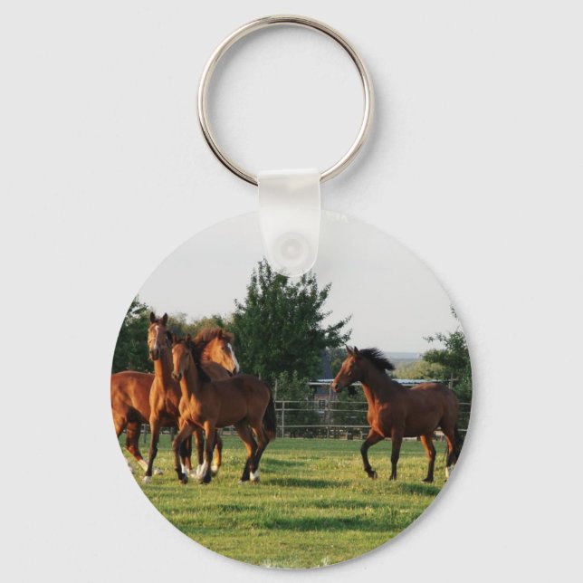 Porte-clés Porte - clé de la rafle du Cheval sauvage (Recto)
