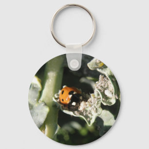 Porte-clés Porte - clé de Ladybug britannique à 7 emplacement