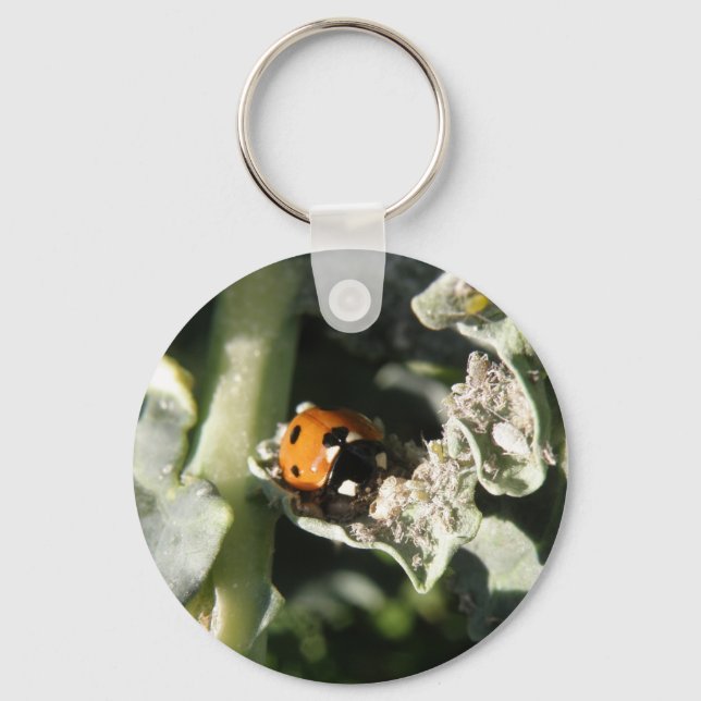 Porte-clés Porte - clé de Ladybug britannique à 7 emplacement (Recto)