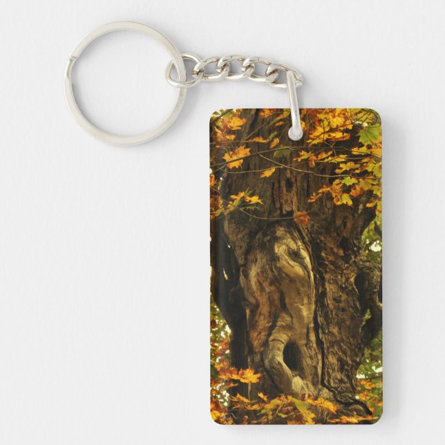 Porte-clés Porte - clé de l'arbre ancien (Devant)