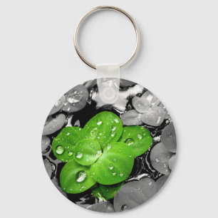 Porte-clés porte - clé de Lis-protection