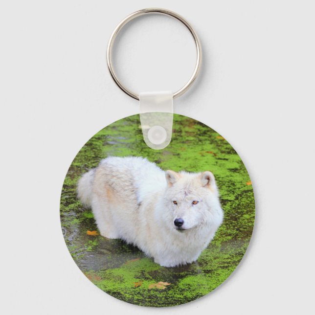 Porte-clés Porte - clé de loup blanc (Recto)