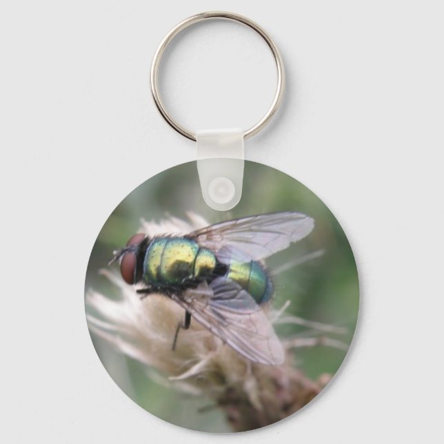 Porte-clés Porte - clé de macro de volée de bouteille verte (Recto)