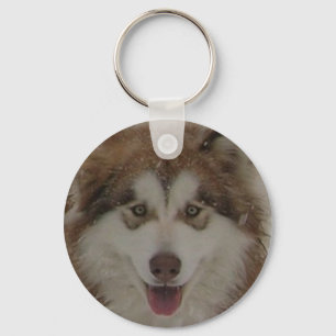 Porte-clés Porte - clé de malamute rouge de l'Alaska