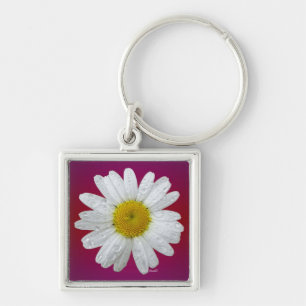 Porte-clés Porte - clé de Mlle Daisy