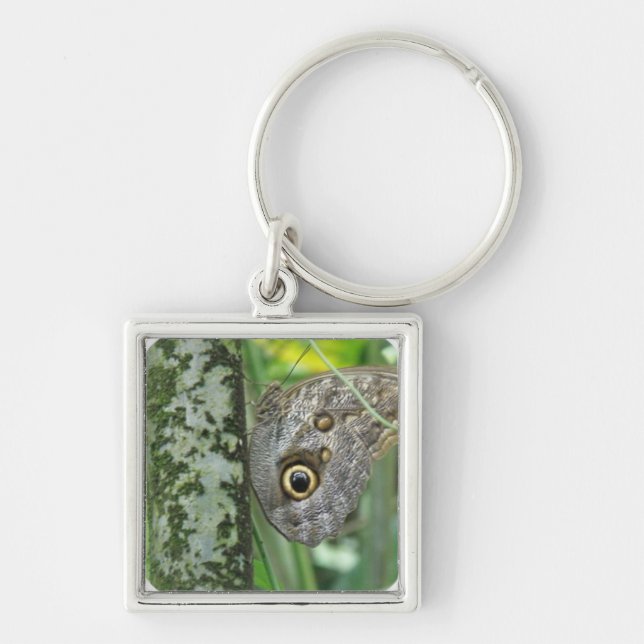 Porte-clés Porte - clé de papillon de hibou de grange (Devant)