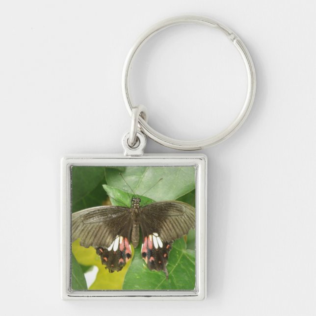 Porte-clés Porte - clé de papillon Scarlet Swallowtail (Devant)